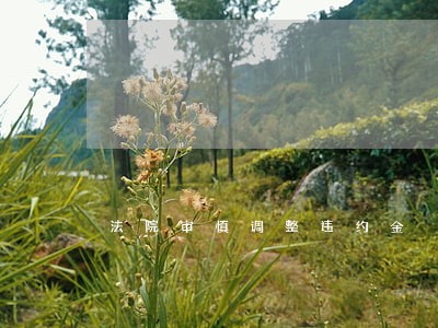 法院审慎调整违约金 法院审慎调整违约金