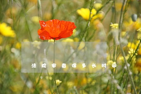 法院审查得多长时间 法院审查得多长时间