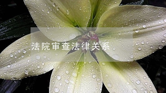 法院审查法律关系