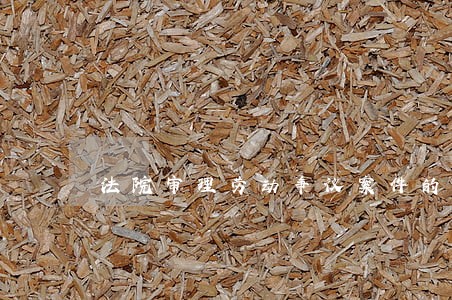 法院审理劳动争议案件的 法院审理劳动争议案件的