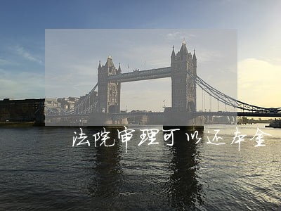 法院审理可以还本金
