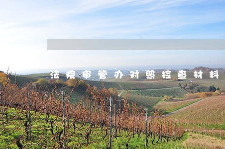 法院审管办对照检查材料 法院审管办对照检查材料