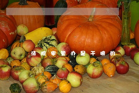 法院审管办是干嘛的