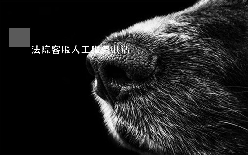 法院客服人工服务电话 法院客服人工服务电话
