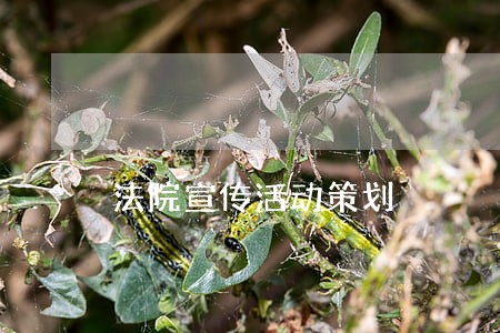 法院宣传活动策划