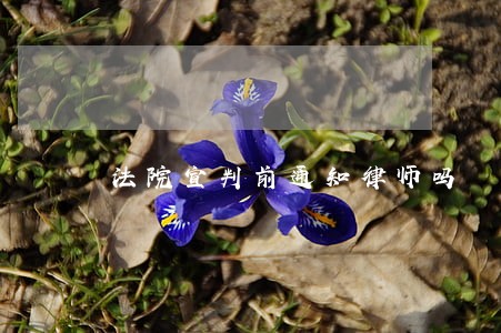 法院宣判前通知律师吗
