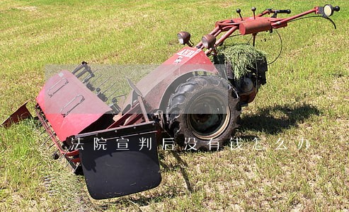 法院宣判后没有钱怎么办 法院宣判后没有钱怎么办