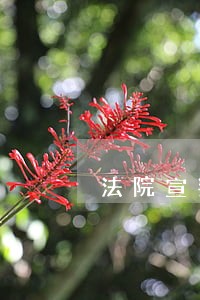 法院宣判真解气 法院宣判真解气