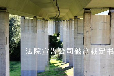 法院宣告公司破产裁定书