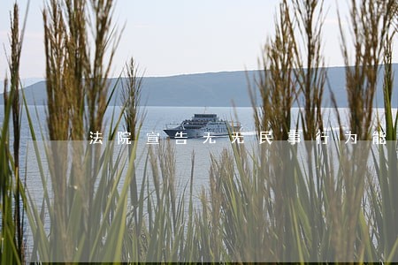 法院宣告无无民事行为能力 法院宣告无无民事行为能力