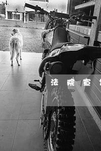 法院宣告破产企业生产如何进行