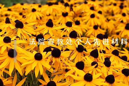 法院宣教处个人先进材料 法院宣教处个人先进材料