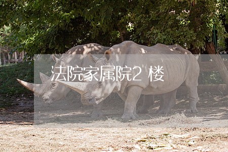 法院家属院2楼 法院家属院2楼