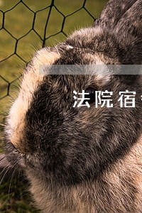 法院宿舍在南关谁更胜一筹 法院宿舍在南关谁更胜一筹