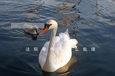 法院寄传票怎么处理 法院寄传票怎么处理