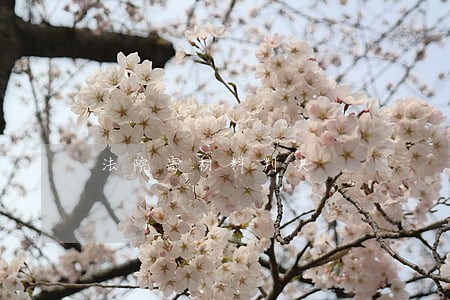 法院寄材料判决 法院寄材料判决
