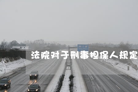 法院对于刑事担保人规定 法院对于刑事担保人规定