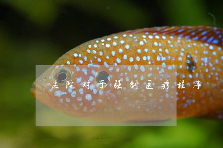 法院对于强制医疗程序 法院对于强制医疗程序