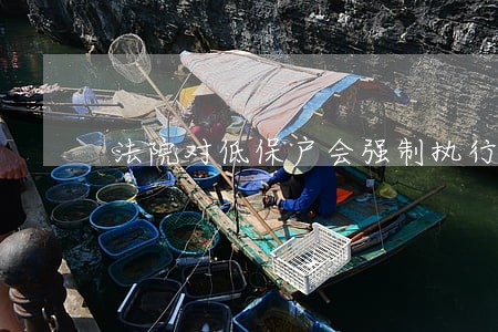 法院对低保户会强制执行吗 法院对低保户会强制执行吗