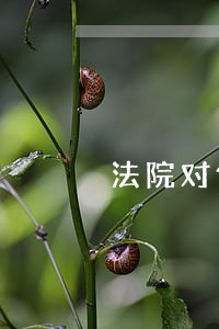 法院对保全申请进行审查