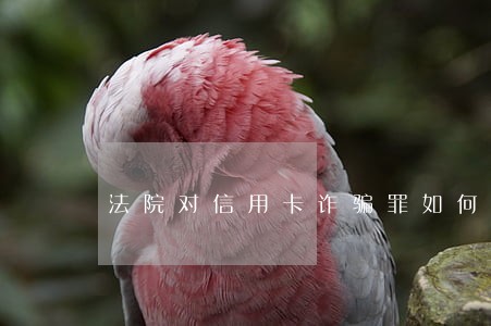 法院对信用卡诈骗罪如何裁判