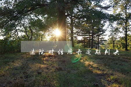 法院对信用卡逾期判决 法院对信用卡逾期判决