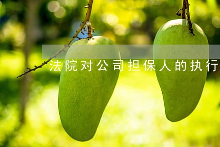 法院对公司担保人的执行 法院对公司担保人的执行