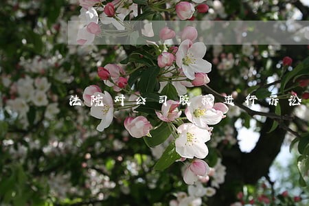 法院对公司股权进行诉讼保全的 法院对公司股权进行诉讼保全的