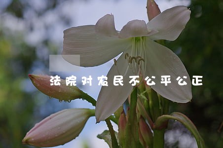 法院对农民不公平公正 法院对农民不公平公正