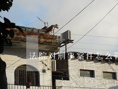法院对刑事案件怎么管辖 法院对刑事案件怎么管辖