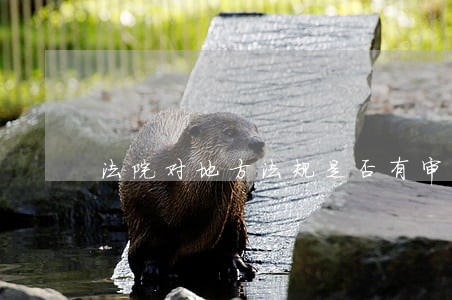 法院对地方法规是否有审查权 法院对地方法规是否有审查权