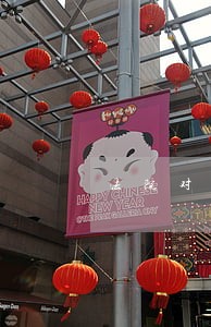 法院对律师个人罚款是否合法