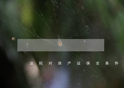 法院对房产证保全条件