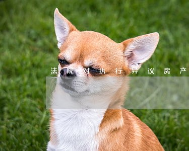 法院对执行异议房产有拍卖权吗 法院对执行异议房产有拍卖权吗