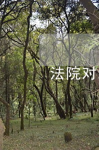 法院对新任职干警廉政谈话记录 法院对新任职干警廉政谈话记录