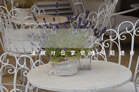 法院对日常管理问题进行督察 法院对日常管理问题进行督察