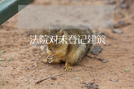 法院对未登记建筑 法院对未登记建筑