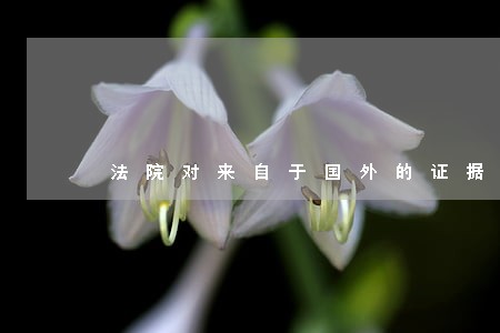 法院对来自于国外的证据要求 法院对来自于国外的证据要求