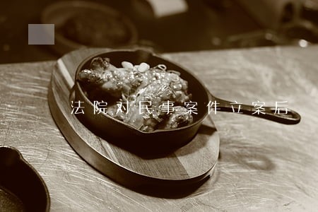 法院对民事案件立案后 法院对民事案件立案后