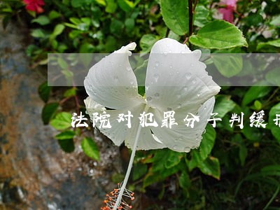 法院对犯罪分子判缓刑最高几年 法院对犯罪分子判缓刑最高几年