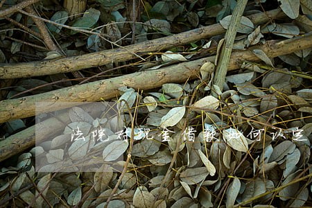 法院对现金借款如何认定 法院对现金借款如何认定