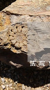 法院对破产管辖权 法院对破产管辖权
