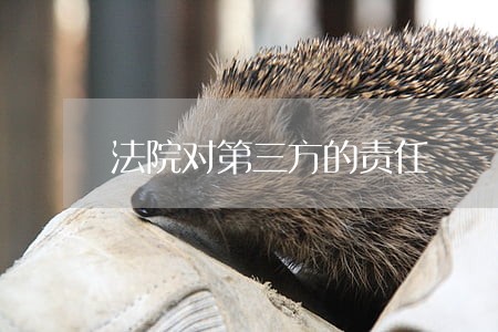 法院对第三方的责任