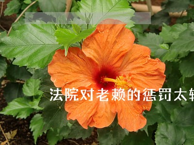 法院对老赖的惩罚太轻了 法院对老赖的惩罚太轻了