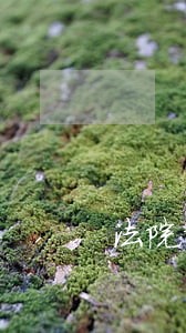 法院对老赖的最新办法 法院对老赖的最新办法