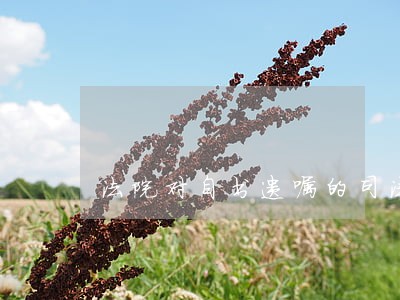 法院对自书遗嘱的司法解释 法院对自书遗嘱的司法解释
