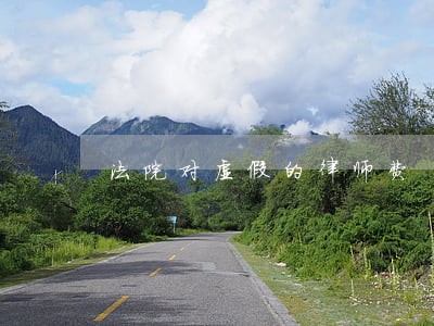 法院对虚假的律师费