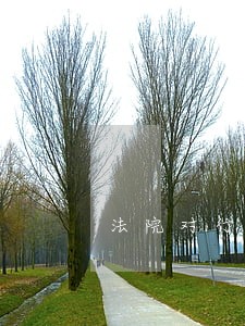 法院对行政案件独立审判不受机关 法院对行政案件独立审判不受机关