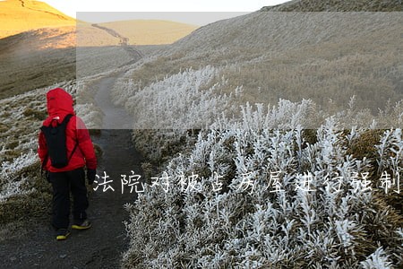 法院对被占房屋进行强制腾退 法院对被占房屋进行强制腾退