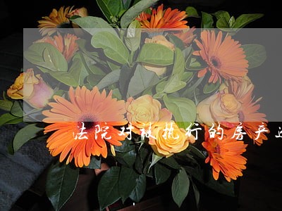 法院对被执行的房产进行评估 法院对被执行的房产进行评估